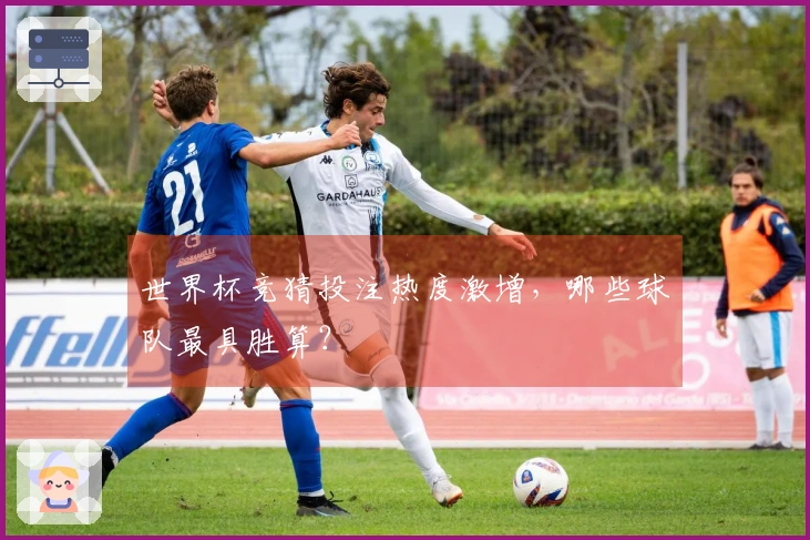 世界杯竞猜投注热度激增，哪些球队最具胜算？