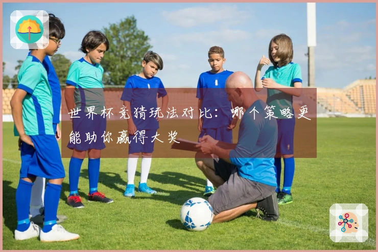 世界杯竞猜玩法对比：哪个策略更能助你赢得大奖