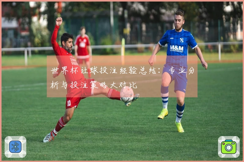 世界杯让球投注经验总结：专业分析与投注策略大对比
