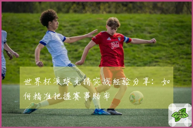 世界杯滚球竞猜实战经验分享：如何精准把握赛事赔率