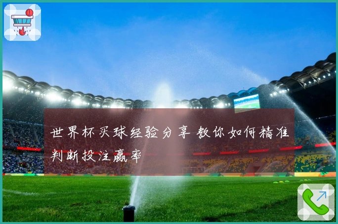 世界杯买球经验分享 教你如何精准判断投注赢率
